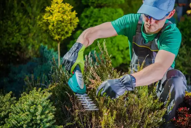 landscaping services Mathews